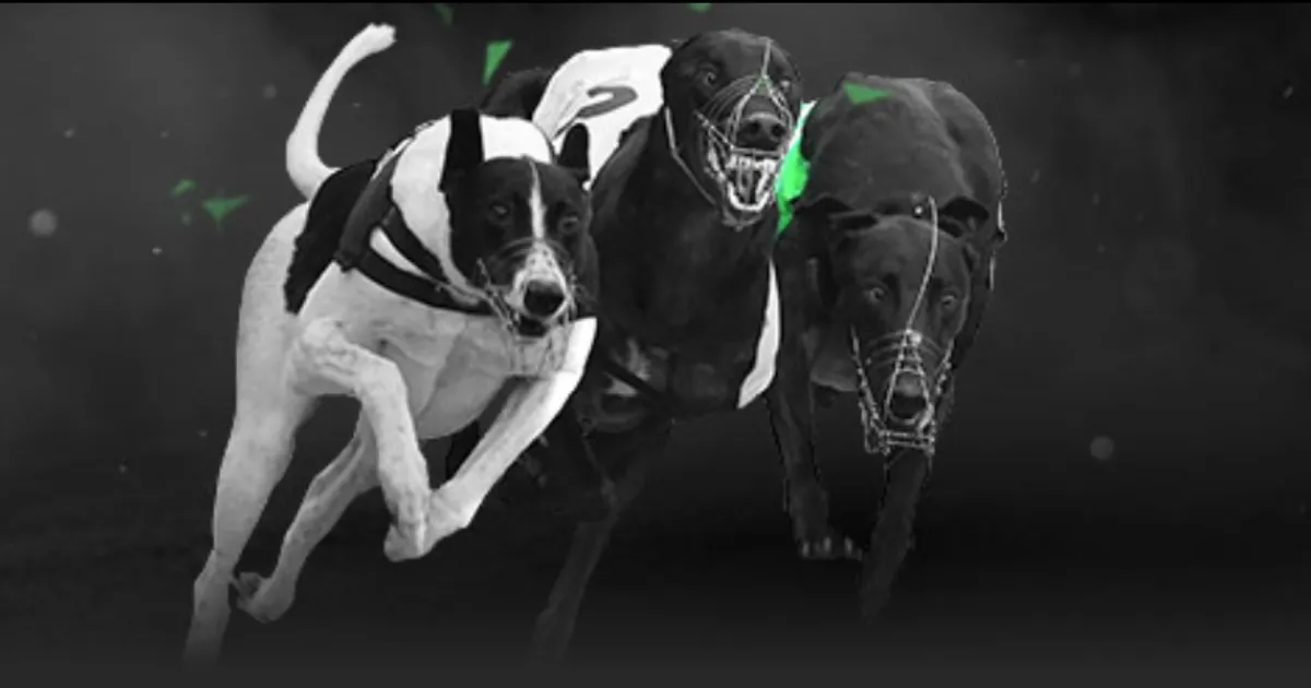 篮球公园,宫鲁鸣对话,网球直播体育,网球直播,Tennis,Sports,网球直播官网,网球直播体育官网,网球直播体育下载,网球直播APP