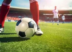 丹佛主场球,迷意外为湖,人助威,网球直播,Tennis,Sports,网球直播官网,网球直播体育官网,网球直播体育下载,网球直播APP