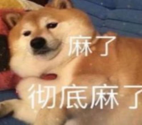 林诗栋逆转,安宰贤,闯入,网球直播,Tennis,Sports,网球直播官网,网球直播体育官网,网球直播体育下载,网球直播APP