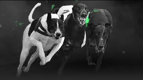 库里轰32分波杰刷新个人纪录 勇士险被爵士翻盘失利