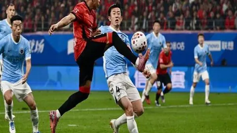 意甲霸主8轮全胜，大乐透专家质合分析前区十码