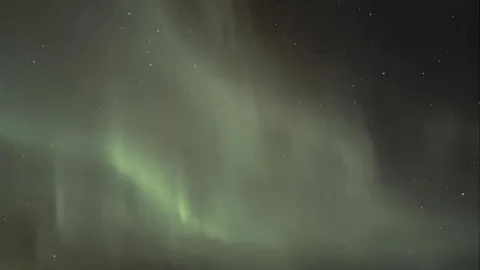 大卫独得花滑冬奥会门票，安香怡错失机会，朱易替补未亮相