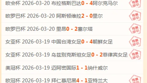图赫尔强调球队建设追求适配而非极致力量；福登与贝林默契搭档无疑问